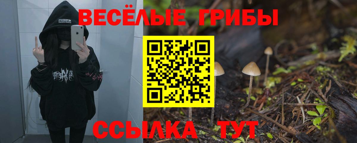 где купить наркотик  Псилоцибиновые грибы MAGIC MUSHROOMS  Вход с VPN  Омск 